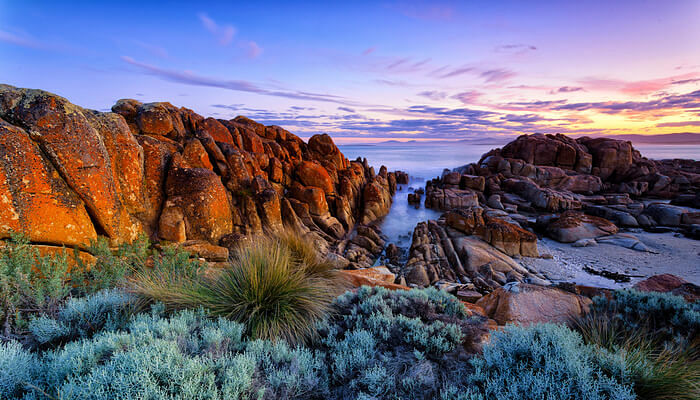 15 Most Adventurous Things To Do In Tasmania For A Perfect Vacay!
