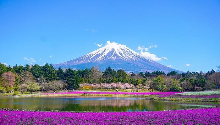 10 Captivating Reasons to Visit Japan: Unveiling the Land of Endless Wonders