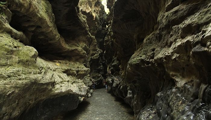 Gucchupani Robbers Cave Is A Dehradun’s Hidden Gem To Explore In 2025