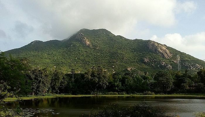 Hotels in Simlipal National Park
