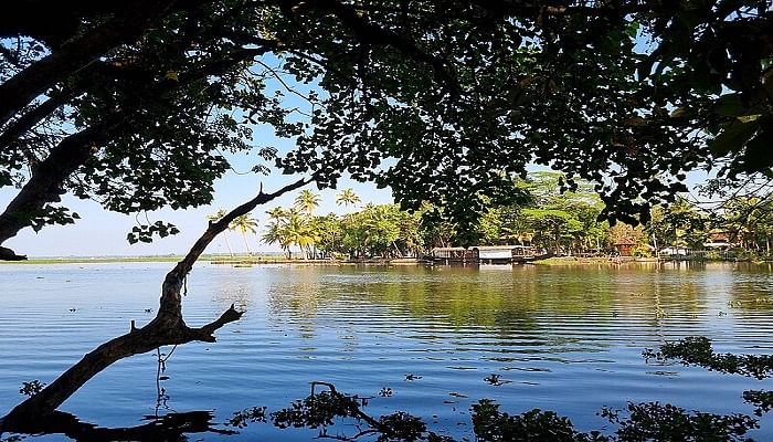 kumarakom bird sanctuary